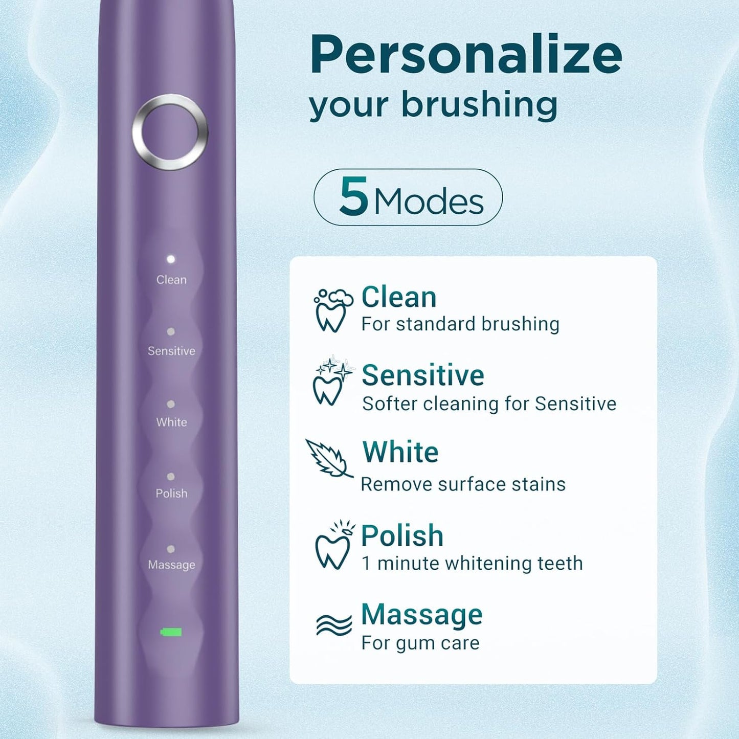 Electric Toothbrush for Adults with 8 Brush Heads, Sonic Toothbrush Rechargeable with a Holder & Travel Case