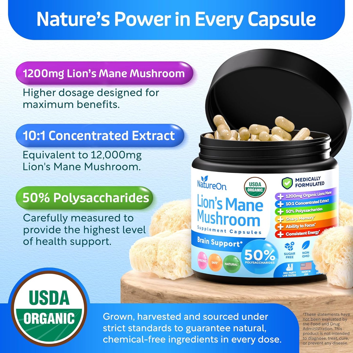 Lion's Mane Brain Nootropic for Energy, Focus, Overall Wellness, & Immune Support