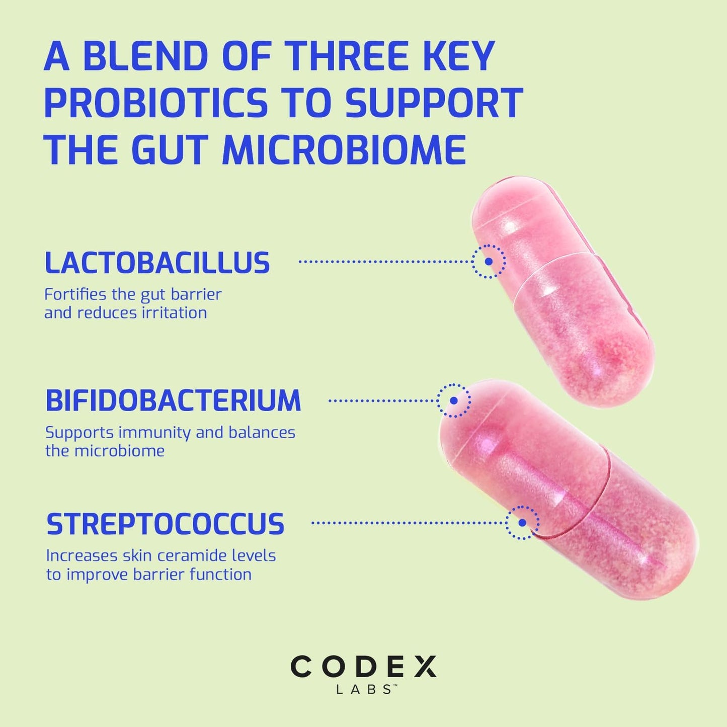 Codex Labs BIA ClearSkin Synbiotic Dietary Supplement
