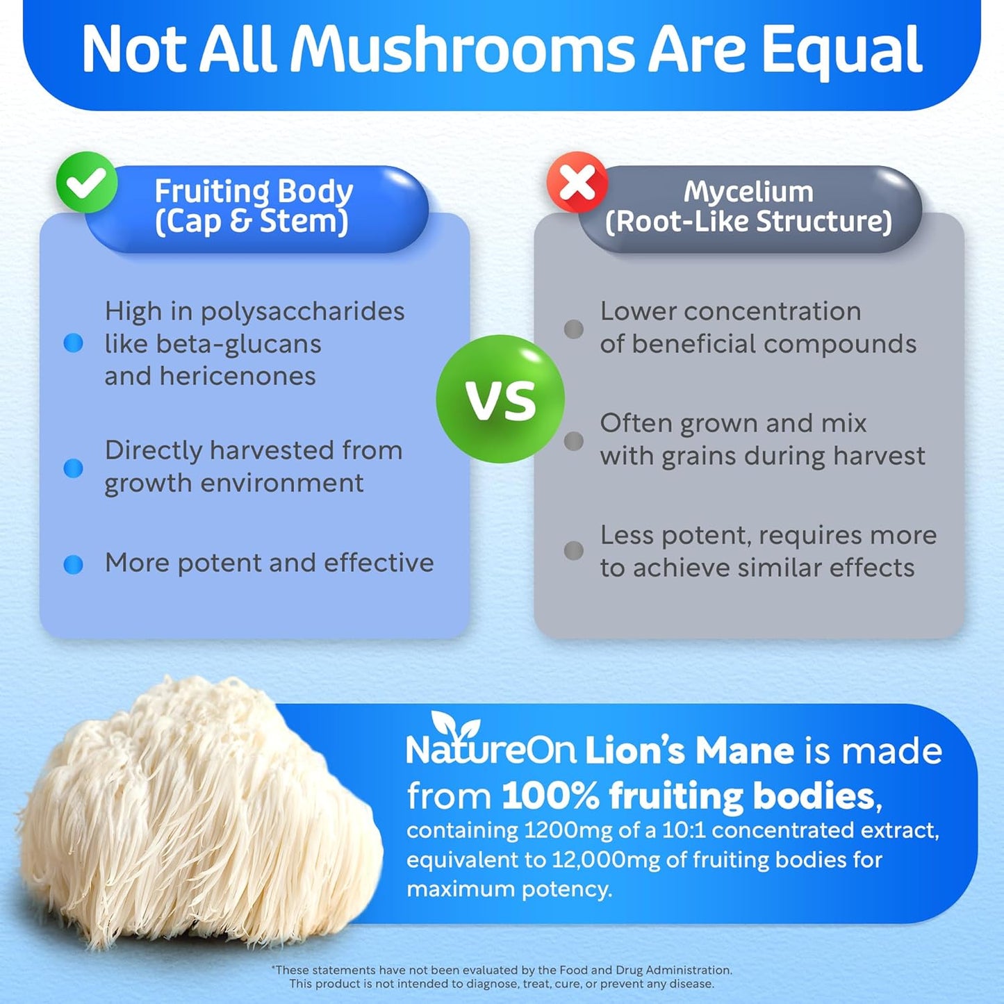 Lion's Mane Brain Nootropic for Energy, Focus, Overall Wellness, & Immune Support