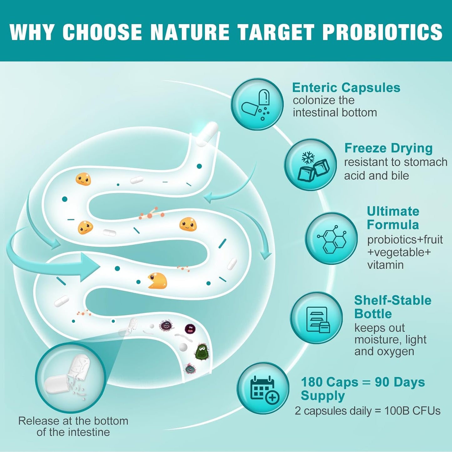 Probiotics for Women-Men-Kids Digestive Health, Prebiotics and Probiotics for Women