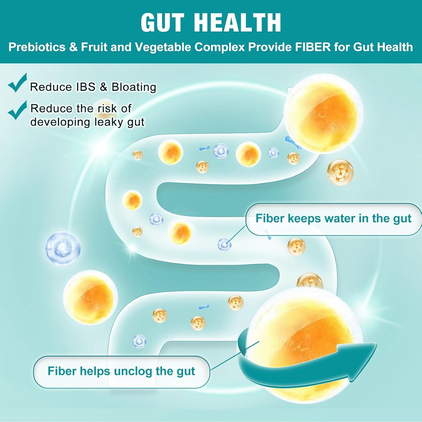 Probiotics for Women-Men-Kids Digestive Health, Prebiotics and Probiotics for Women