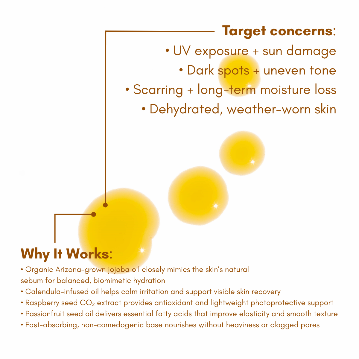 Sun Worshiper Regenerative Serum